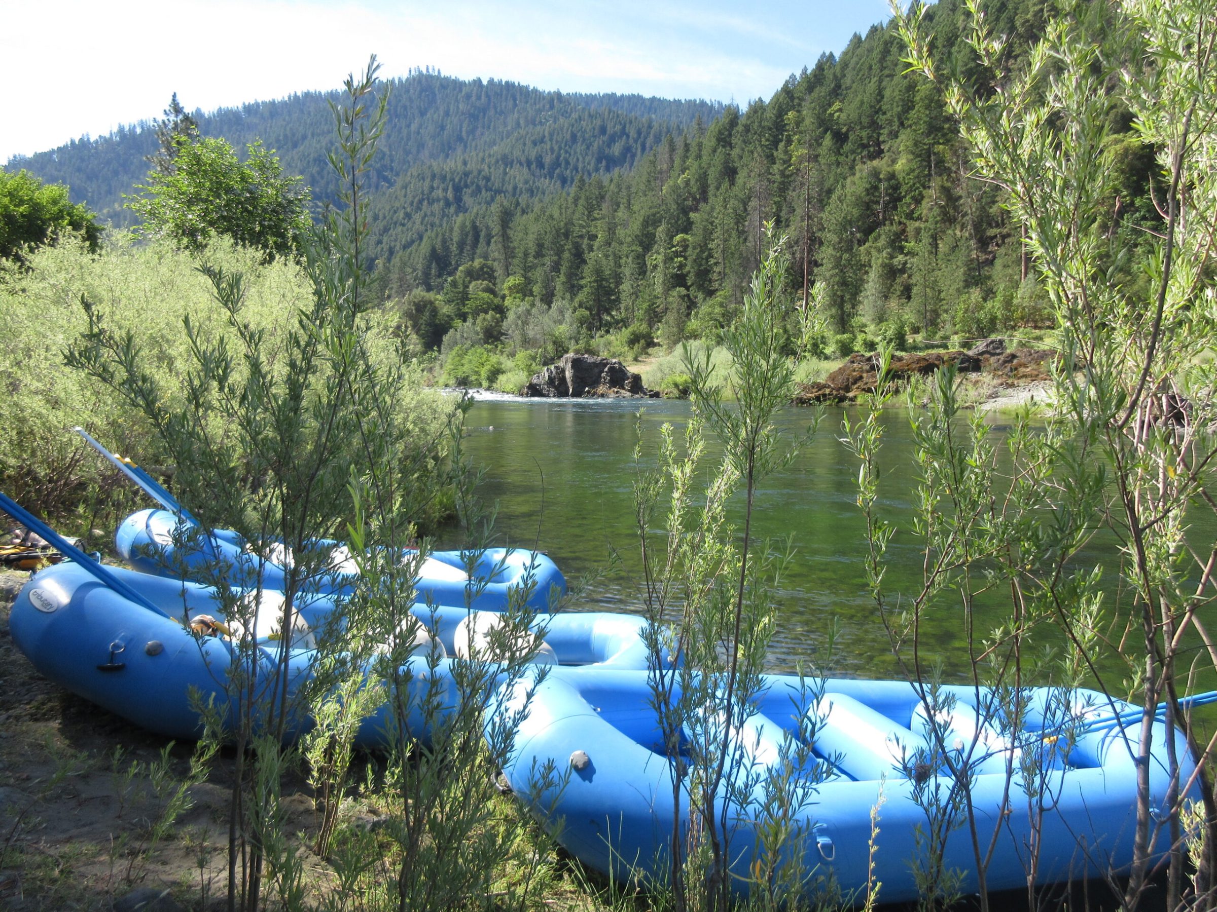 a blue and white boat parked next to a forest