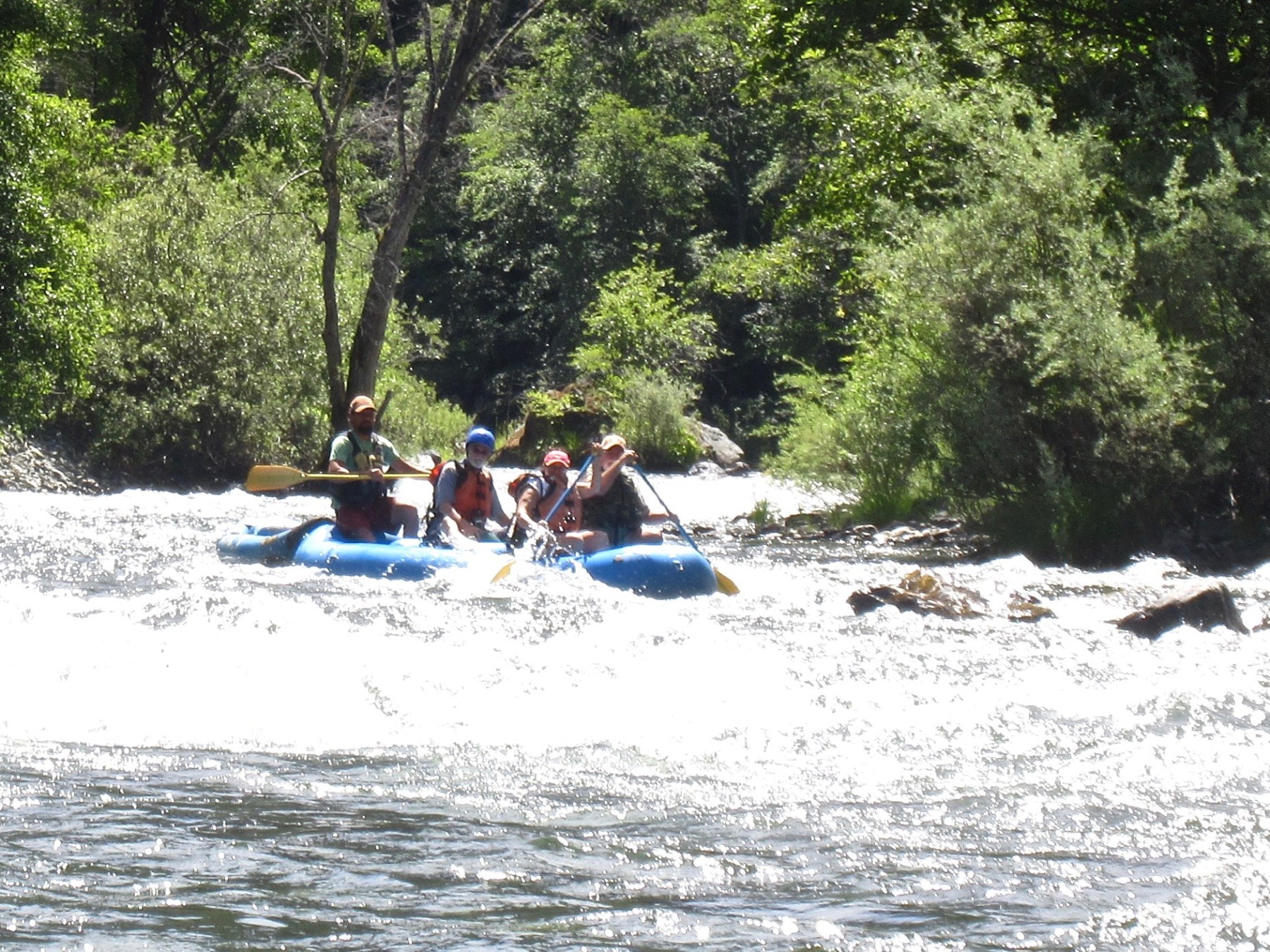 a group of people riding skis on a body of water